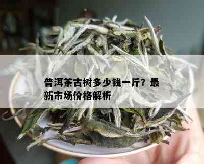 普洱茶古树多少钱一斤？最新市场价格解析