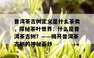 普洱茶古树定义是什么茶类，探秘茶叶世界：什么是普洱茶古树？——揭开普洱茶古树的神秘面纱