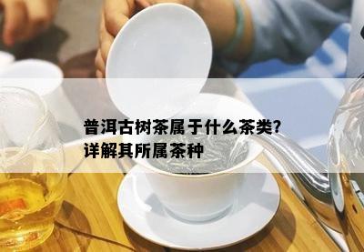 普洱古树茶属于什么茶类？详解其所属茶种