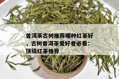 普洱茶古树推荐哪种红茶好，古树普洱茶爱好者必看：顶级红茶推荐