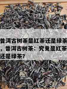 普洱古树茶是红茶还是绿茶，普洱古树茶：究竟是红茶还是绿茶？