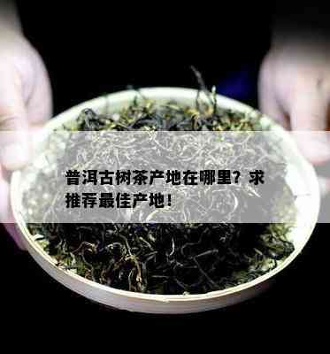 普洱古树茶产地在哪里？求推荐更佳产地！