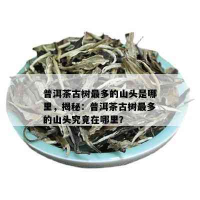 普洱茶古树最多的山头是哪里，揭秘：普洱茶古树最多的山头究竟在哪里？