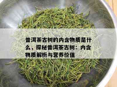 普洱茶古树的内含物质是什么，探秘普洱茶古树：内含物质解析与营养价值