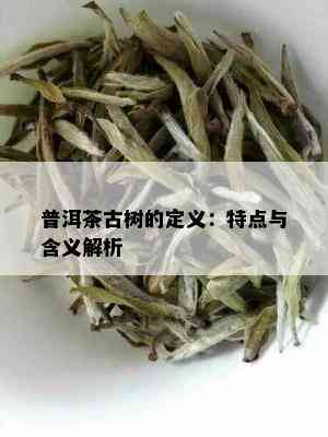 普洱茶古树的定义：特点与含义解析