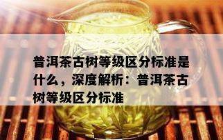 普洱茶古树等级区分标准是什么，深度解析：普洱茶古树等级区分标准