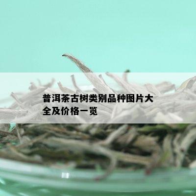 普洱茶古树类别品种图片大全及价格一览