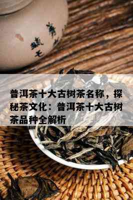 普洱茶十大古树茶名称，探秘茶文化：普洱茶十大古树茶品种全解析