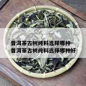 普洱茶古树纯料选择哪种-普洱茶古树纯料选择哪种好