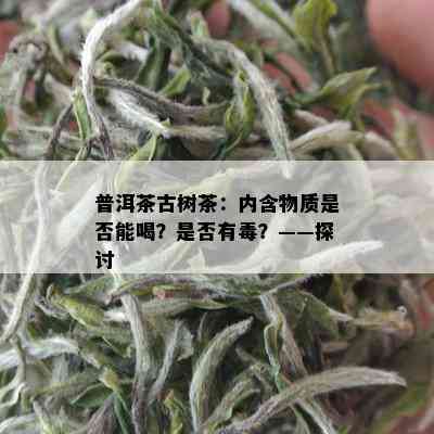 普洱茶古树茶：内含物质是否能喝？是否有？——探讨