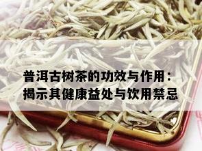 普洱古树茶的功效与作用：揭示其健康益处与饮用禁忌