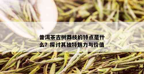 普洱茶古树莽枝的特点是什么？探讨其独特魅力与价值