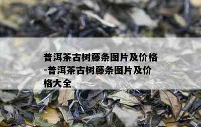 普洱茶古树藤条图片及价格-普洱茶古树藤条图片及价格大全