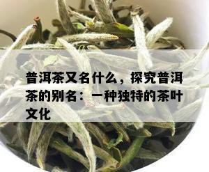 普洱茶又名什么，探究普洱茶的别名：一种独特的茶叶文化