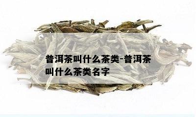 普洱茶叫什么茶类-普洱茶叫什么茶类名字