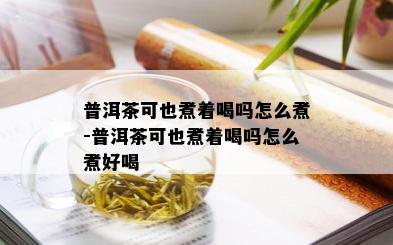 普洱茶可也煮着喝吗怎么煮-普洱茶可也煮着喝吗怎么煮好喝