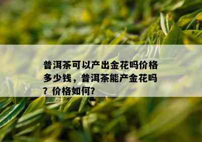 普洱茶可以产出金花吗价格多少钱，普洱茶能产金花吗？价格如何？