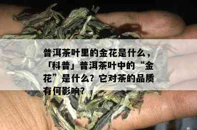 普洱茶叶里的金花是什么，「科普」普洱茶叶中的“金花”是什么？它对茶的品质有何影响？