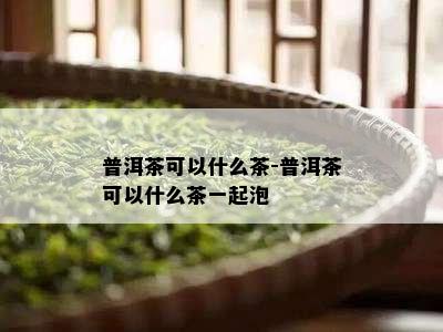 普洱茶可以什么茶-普洱茶可以什么茶一起泡