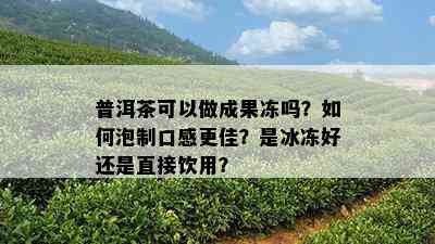 普洱茶可以做成果冻吗？如何泡制口感更佳？是冰冻好还是直接饮用？