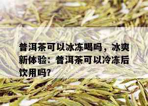 普洱茶可以冰冻喝吗，冰爽新体验：普洱茶可以冷冻后饮用吗？