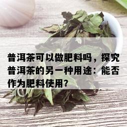 普洱茶可以做肥料吗，探究普洱茶的另一种用途：能否作为肥料使用？