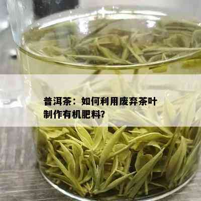 普洱茶：如何利用废弃茶叶制作有机肥料？