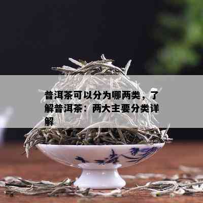 普洱茶可以分为哪两类，了解普洱茶：两大主要分类详解