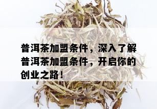 普洱茶加盟条件，深入了解普洱茶加盟条件，开启你的创业之路！