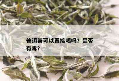 普洱茶可以直接喝吗？是否有？