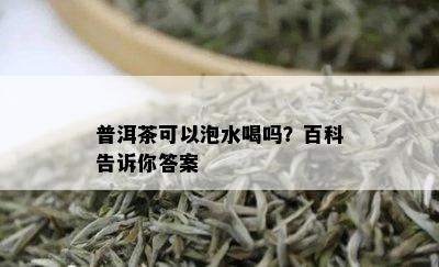 普洱茶可以泡水喝吗？百科告诉你答案