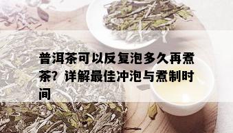 普洱茶可以反复泡多久再煮茶？详解更佳冲泡与煮制时间