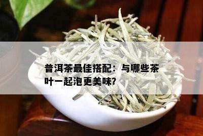 普洱茶更佳搭配：与哪些茶叶一起泡更美味？