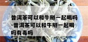 普洱茶可以和牛掰一起喝吗-普洱茶可以和牛掰一起喝吗有吗