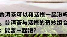 普洱茶可以和话梅一起泡吗，普洱茶与话梅的奇妙组合：能否一起泡？