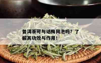 普洱茶可与话梅同泡吗？了解其功效与作用！