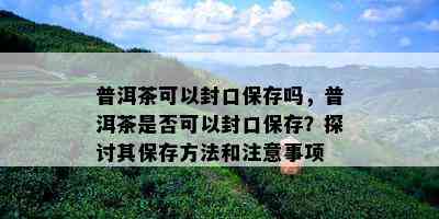 普洱茶可以封口保存吗，普洱茶是否可以封口保存？探讨其保存方法和注意事项