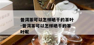 普洱茶可以怎样晒干的茶叶-普洱茶可以怎样晒干的茶叶呢