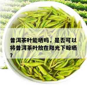 普洱茶叶能晒吗，是否可以将普洱茶叶放在阳光下晾晒？