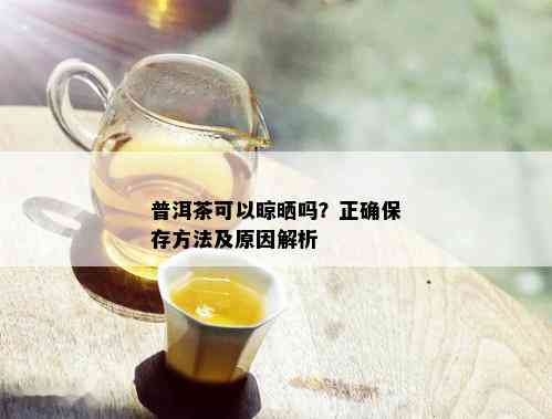 普洱茶可以晾晒吗？正确保存方法及原因解析