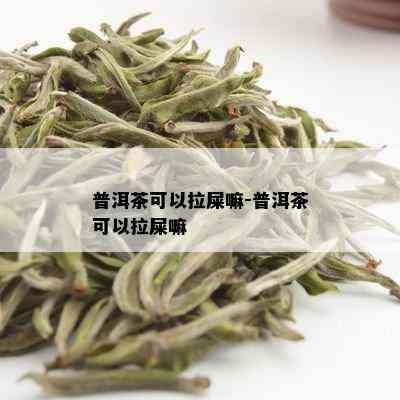 普洱茶可以拉屎嘛-普洱茶可以拉屎嘛