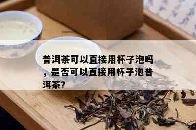 普洱茶可以直接用杯子泡吗，是否可以直接用杯子泡普洱茶？