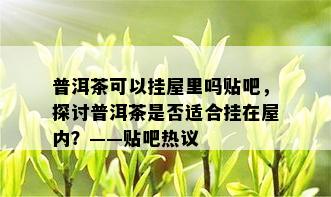 普洱茶可以挂屋里吗贴吧，探讨普洱茶是否适合挂在屋内？——贴吧热议