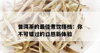 普洱茶的更佳煮饮搭档：你不可错过的口感新体验