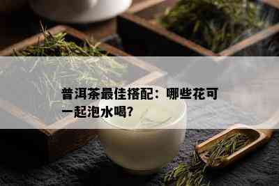 普洱茶更佳搭配：哪些花可一起泡水喝？