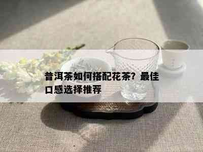 普洱茶如何搭配花茶？更佳口感选择推荐