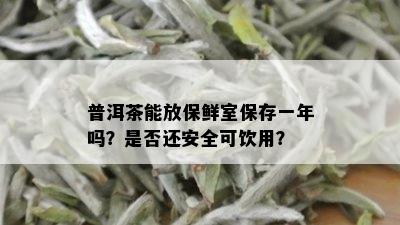 普洱茶能放保鲜室保存一年吗？是否还安全可饮用？