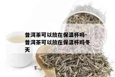 普洱茶可以放在保温杯吗-普洱茶可以放在保温杯吗冬天