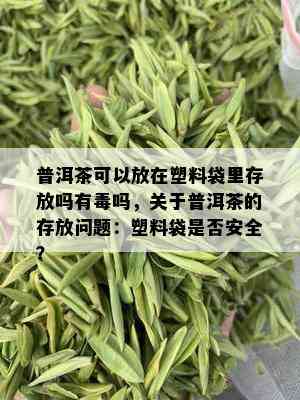 普洱茶可以放在塑料袋里存放吗有吗，关于普洱茶的存放问题：塑料袋是否安全？