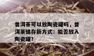 普洱茶可以放陶瓷罐吗，普洱茶储存新方式：能否放入陶瓷罐？